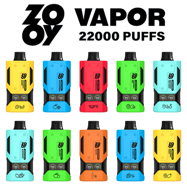 ZOOY Vapor 22000 Puffs B