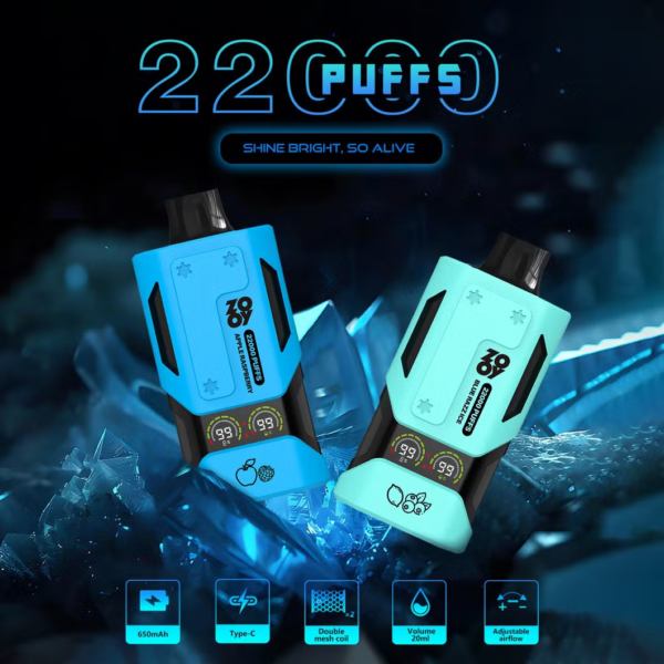 ZOOY Vapor 22000 Puffs D