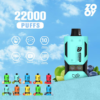 ZOOY Vapor 22000 Puffs E