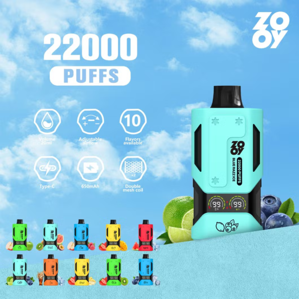 ZOOY Vapor 22000 Puffs E